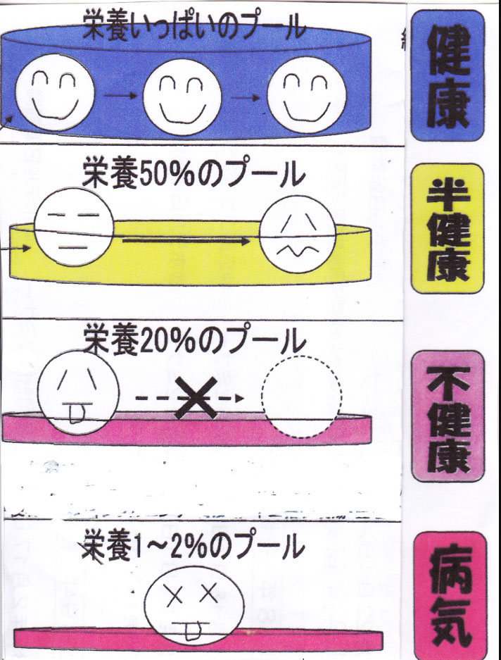 妊娠後、出産めざしての体力作り