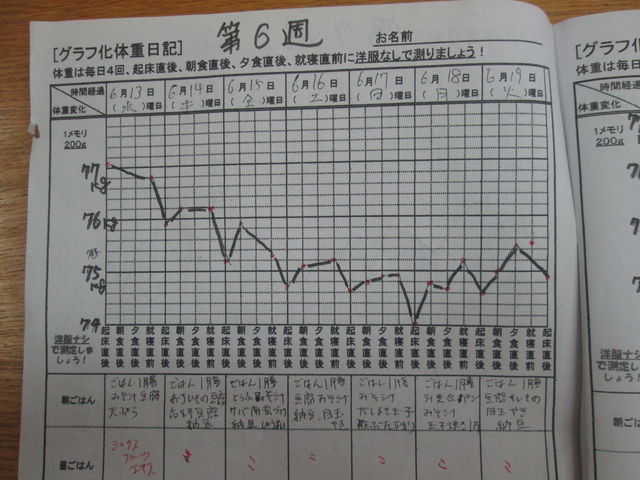 第6週目