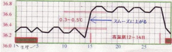 基礎体温表で見る体の状態①　正常な状態