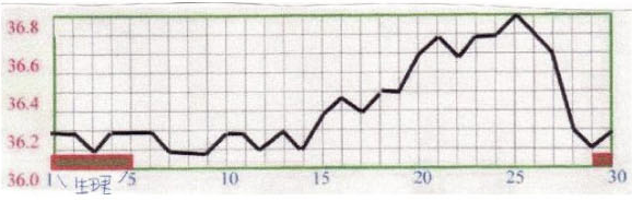 基礎体温表で見る体の状態④　高温期へ一気に移行しない
